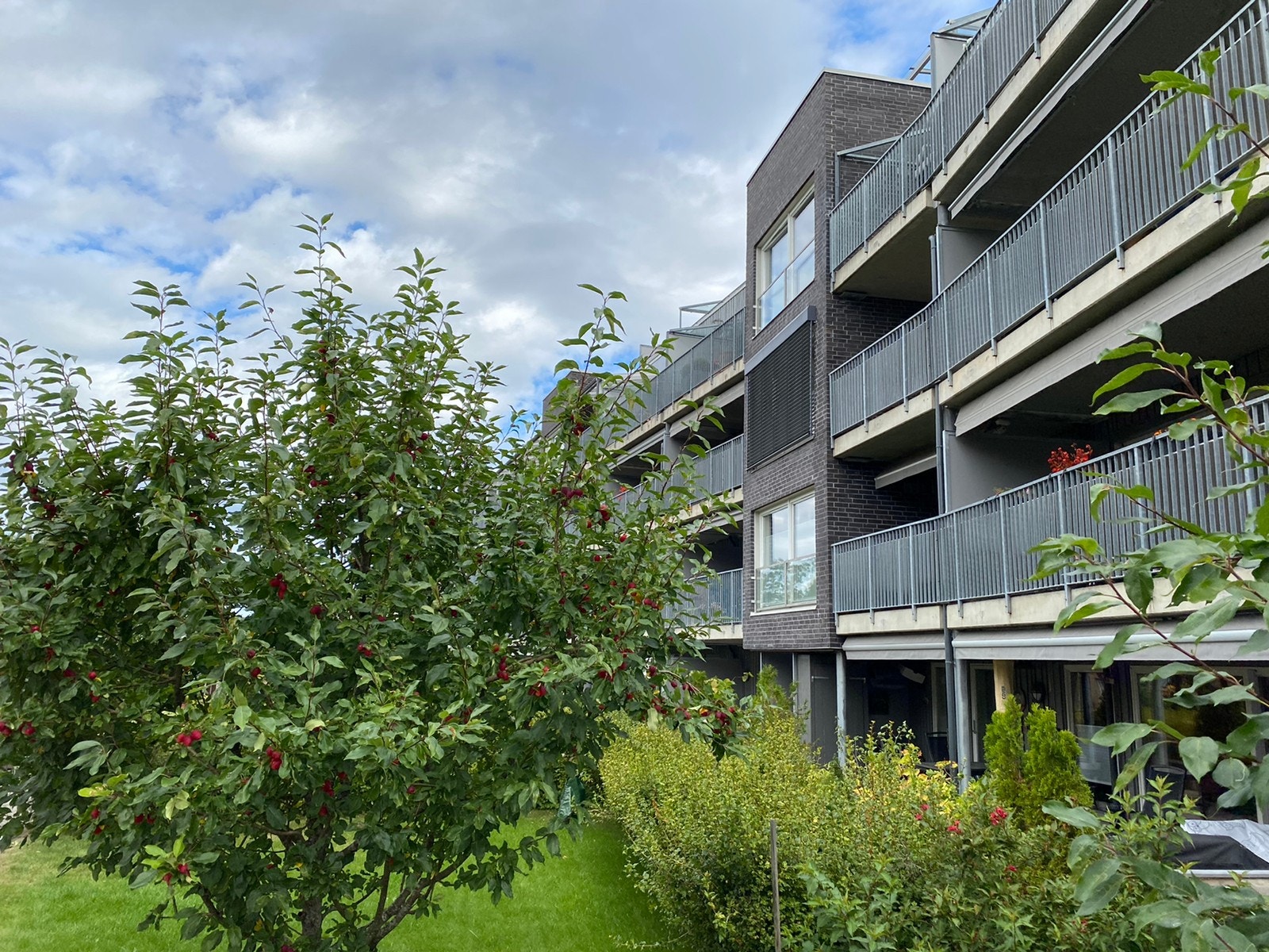 Bilde fra atrium/felles uteområde/hage Galleribilde