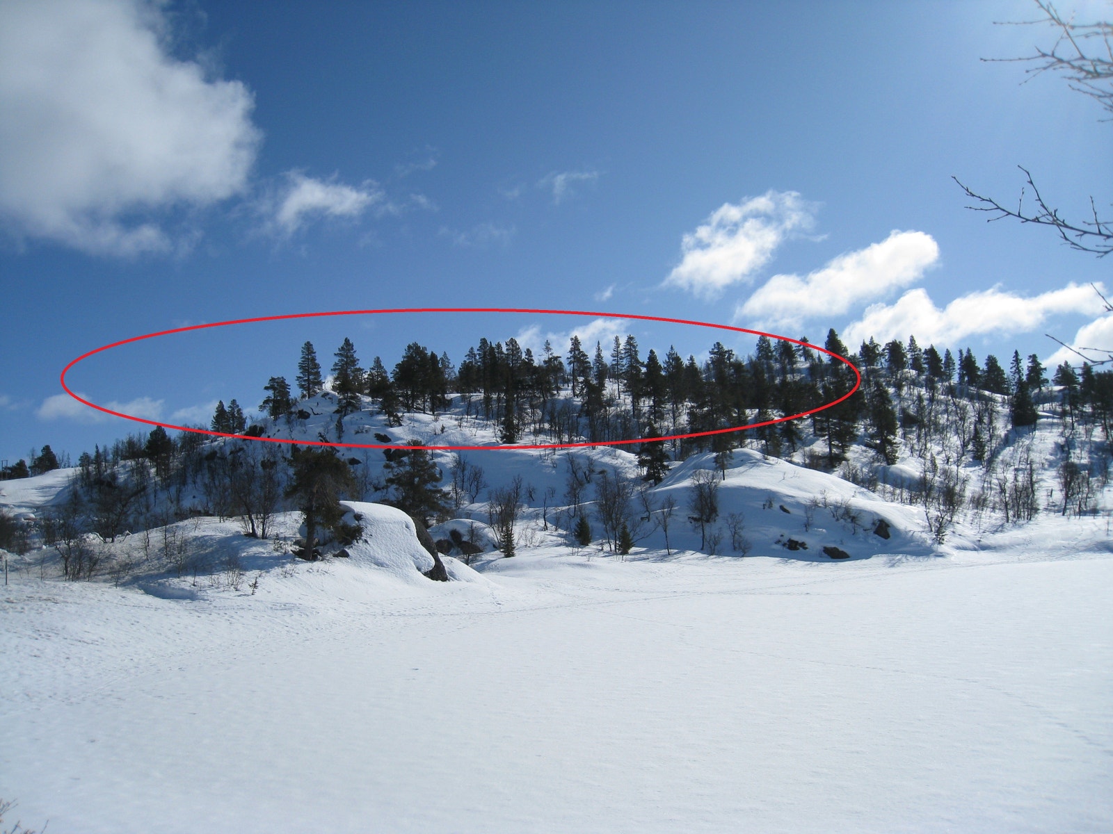 Vinter i Vamark Galleribilde