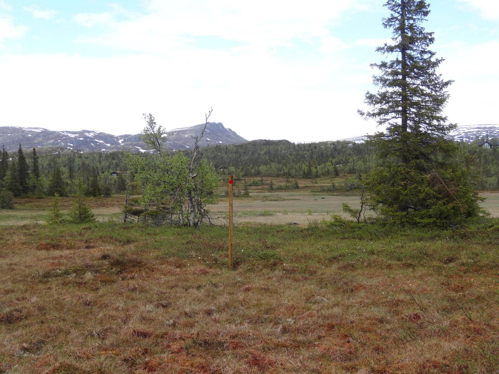 Nærområdet Galleribilde