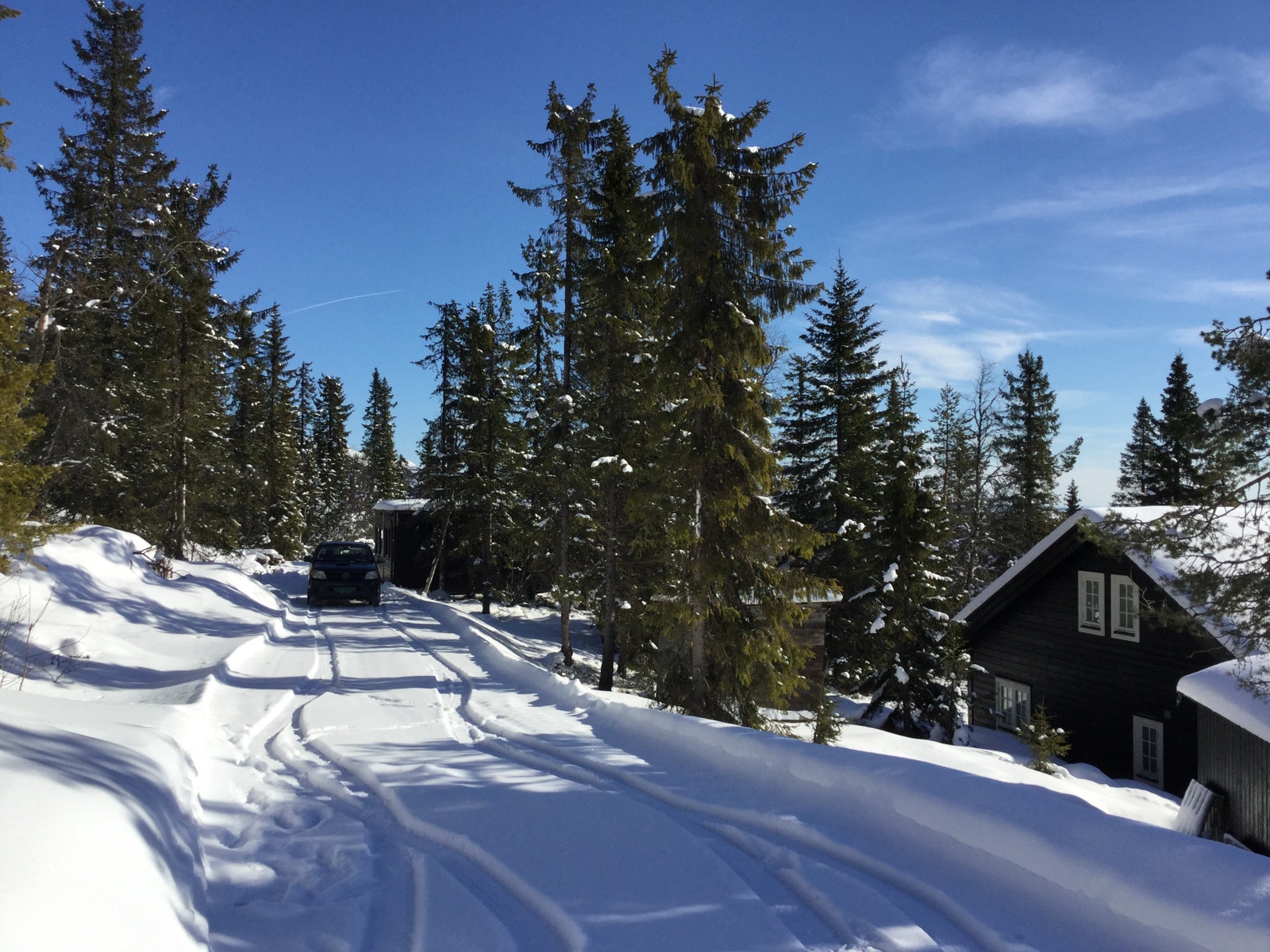 Egen vei inn til tomten Galleribilde