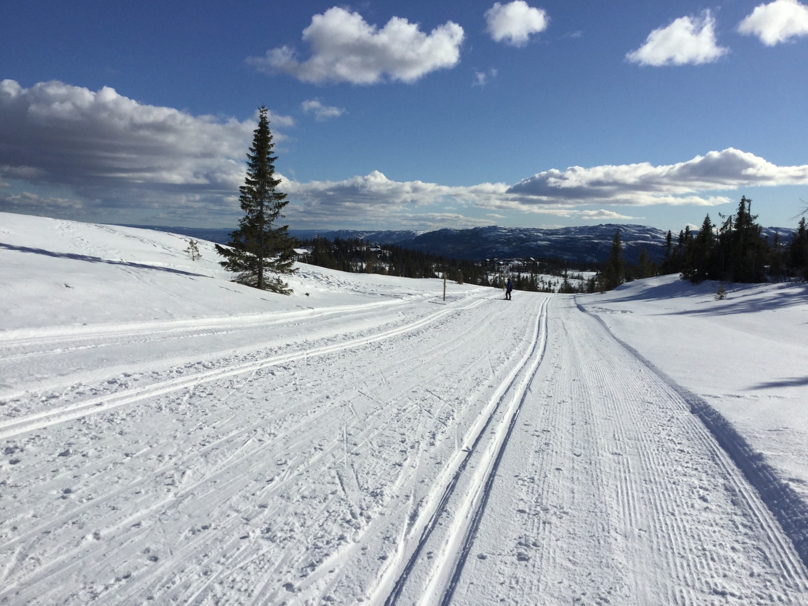 Nærområdet Galleribilde