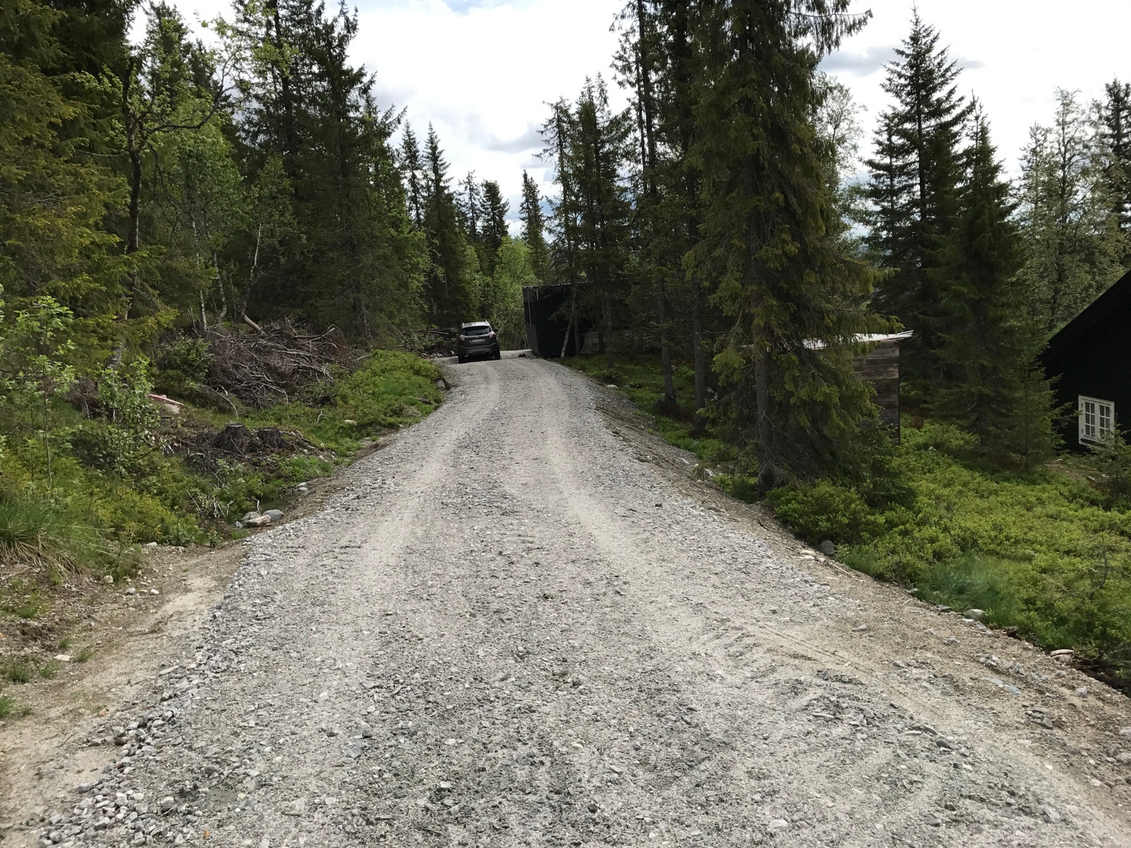 Veien inn til tomten Galleribilde