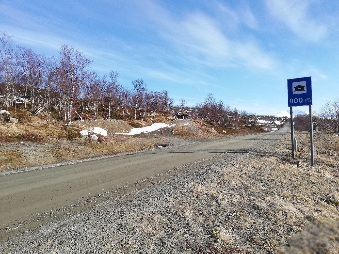 Område der hyttetomten ligger Galleribilde