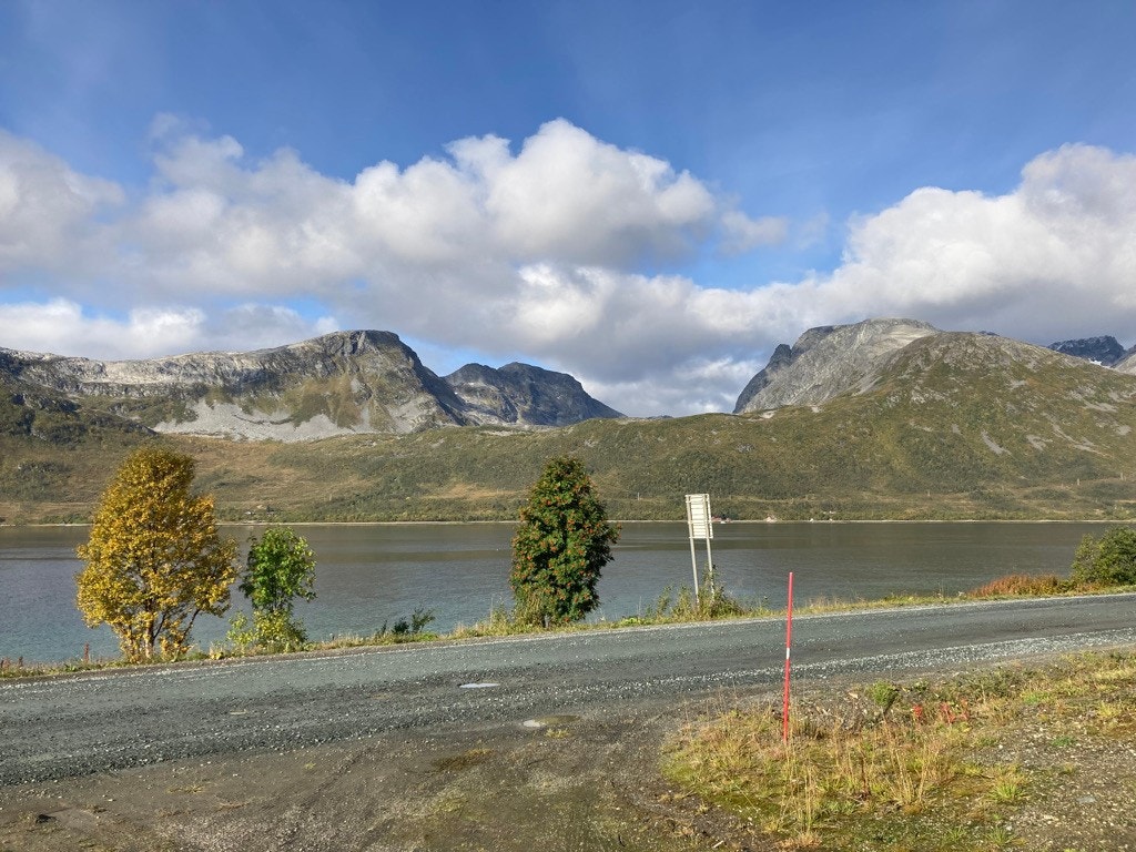 Utsikt fra innkjøring til hyttetomten litt mot nord. Tomten ligger 15 m lengre bak. Galleribilde