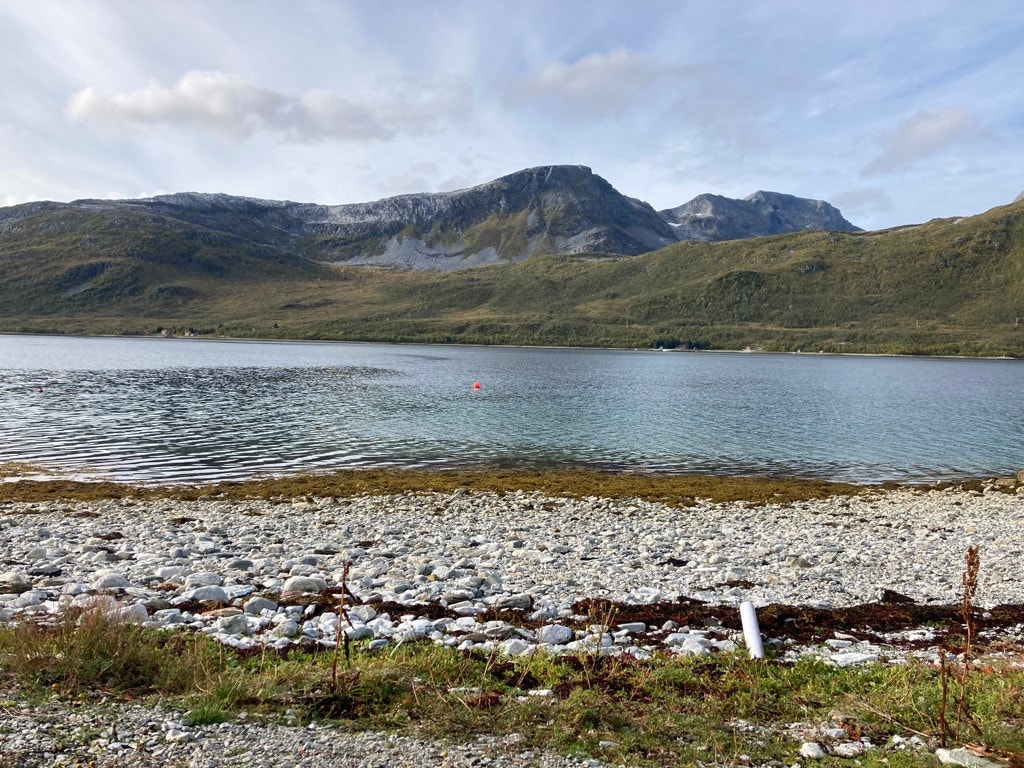 Utsikt fra naustet rett ut Galleribilde