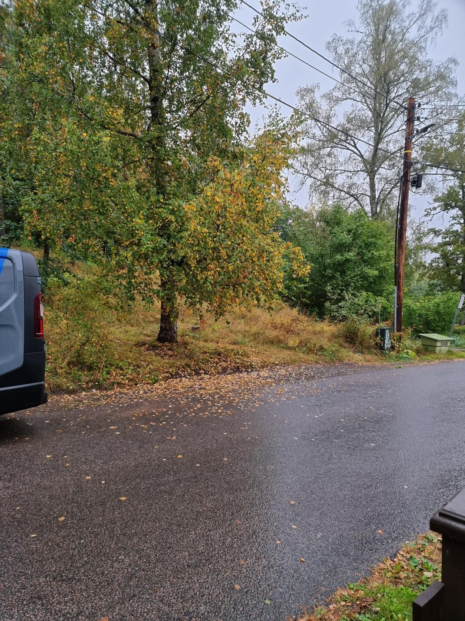 Gratisparkering utenfor huset. Galleribilde