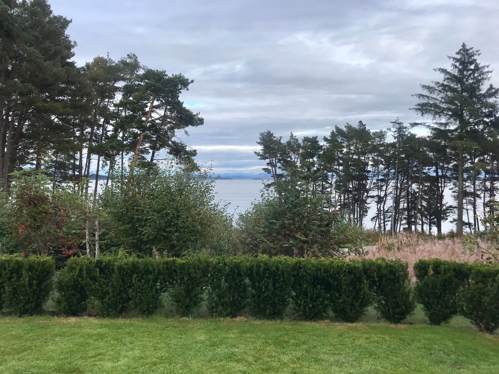 Utsikt utover Byfjorden fra leiligheten. Galleribilde