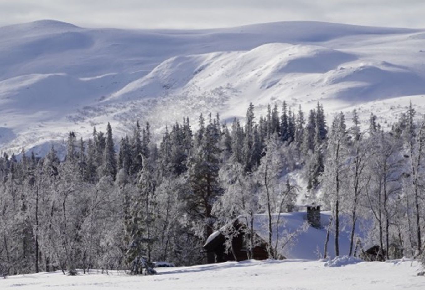 Flotte turområder m/ Hardangervidda i bakgrunnen Galleribilde