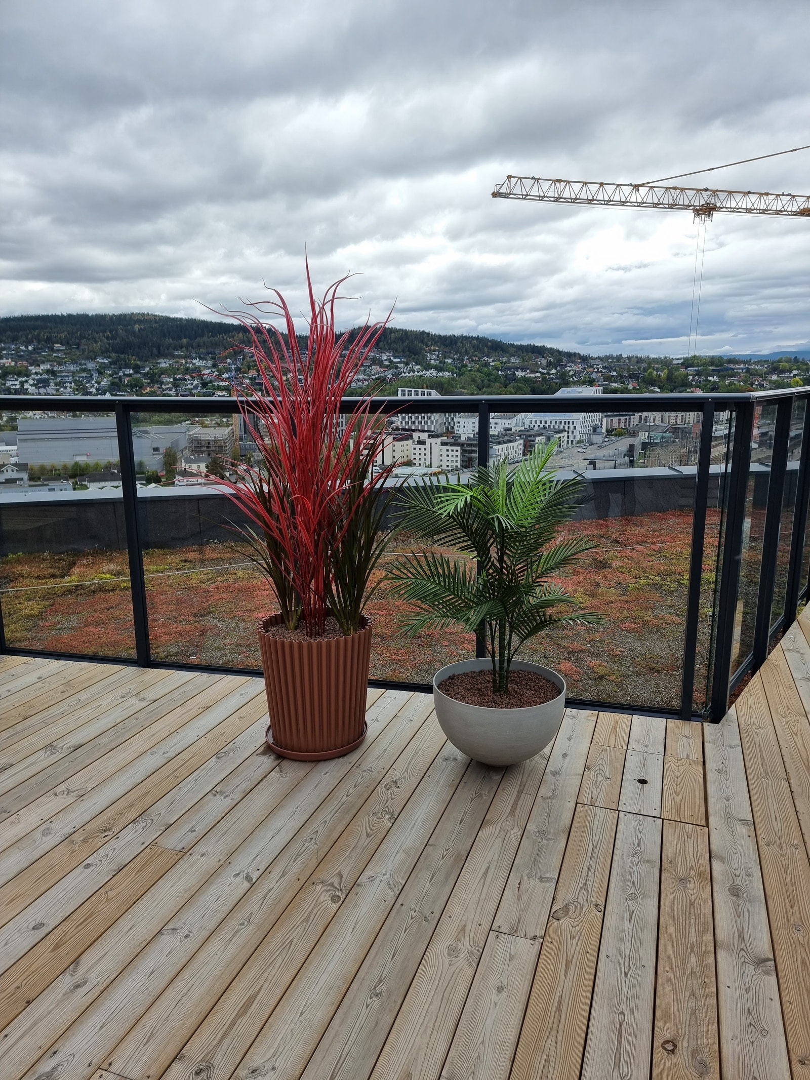 Felles takterrasse Galleribilde