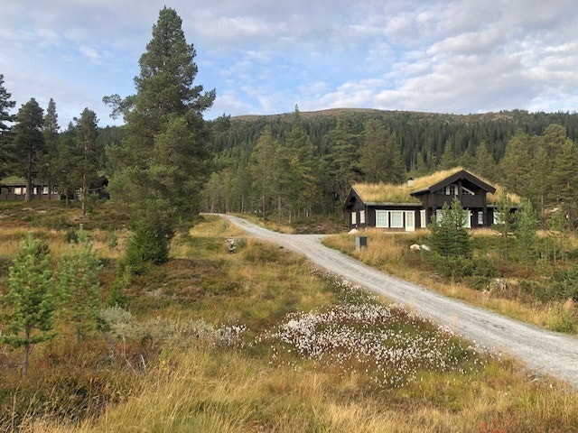 Bildet tatt fra Skirvedalsveien Galleribilde