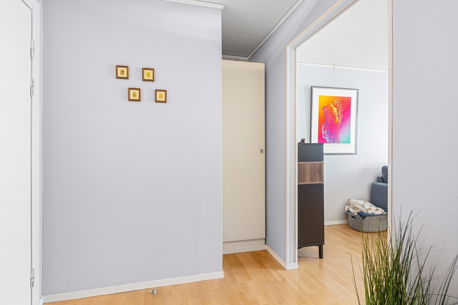 Svært romslig entré med god plass til å henge fra seg yttertøy og sette fra seg sko Galleribilde