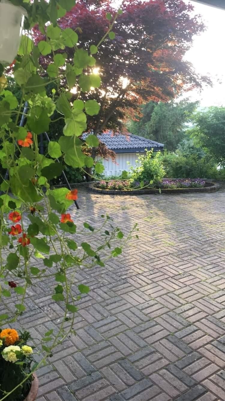 Uteområde Galleribilde