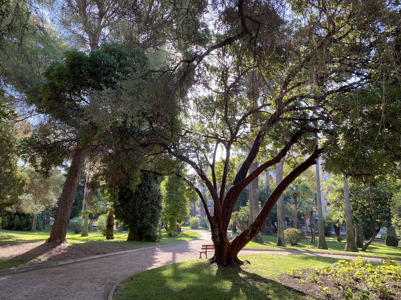 Den nærmeste parken Galleribilde