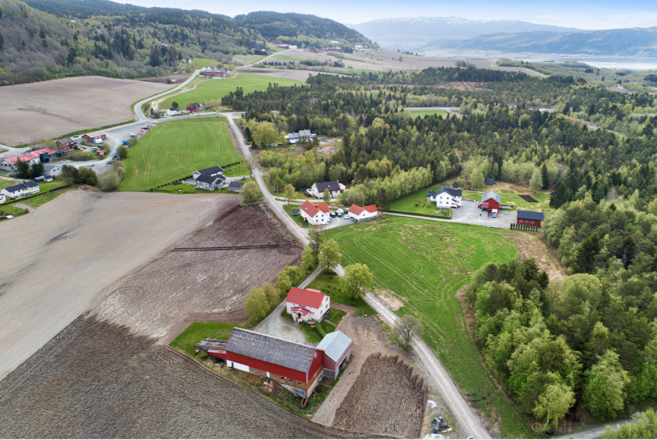 området Galleribilde