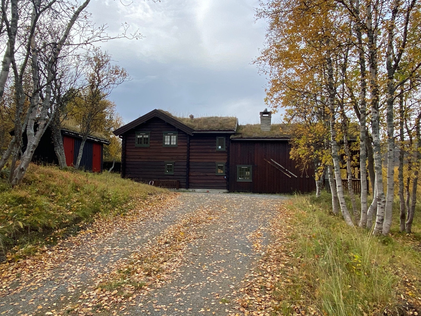 Oppkjørsel Galleribilde