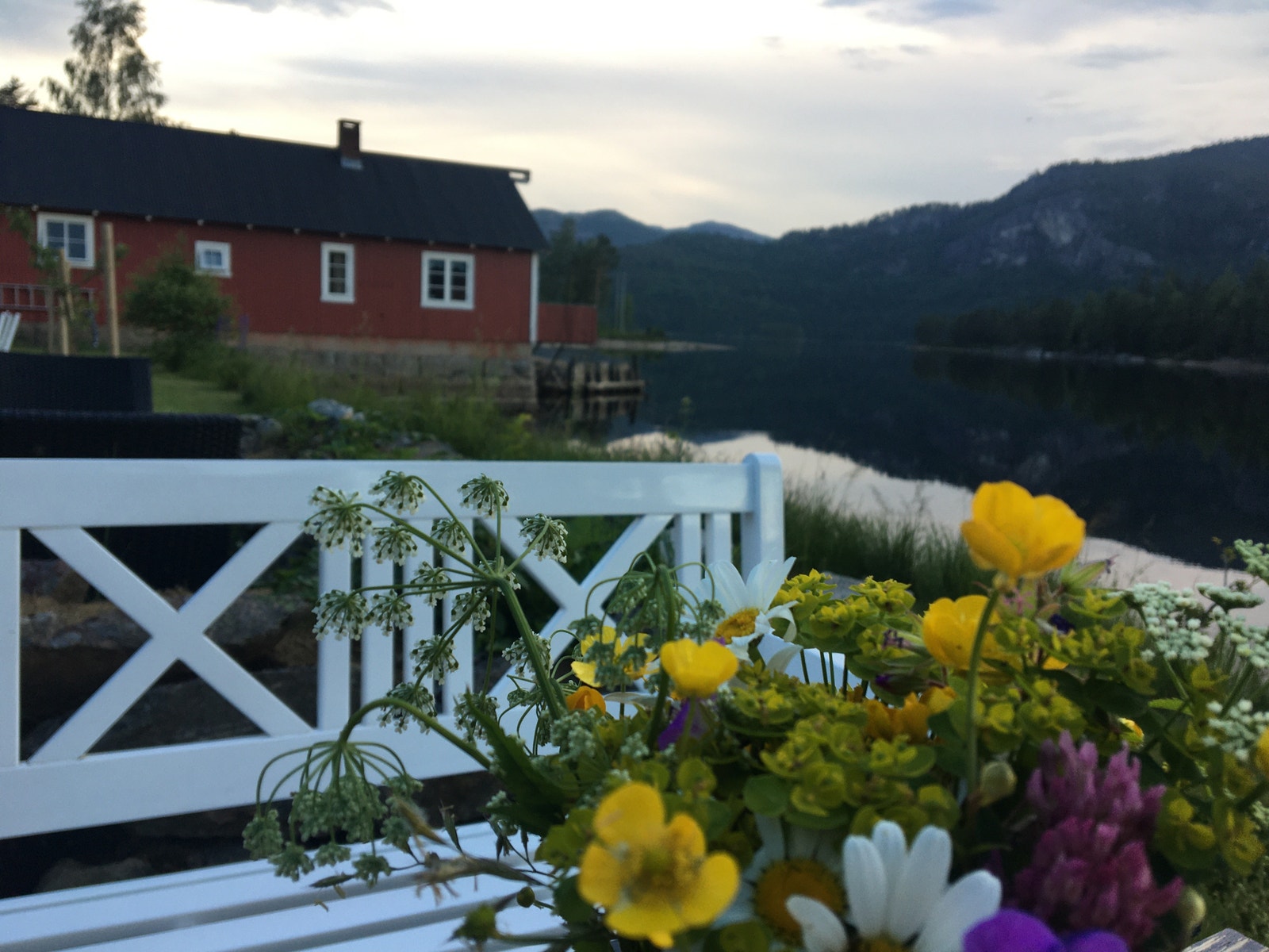 Sommar i hagen Galleribilde