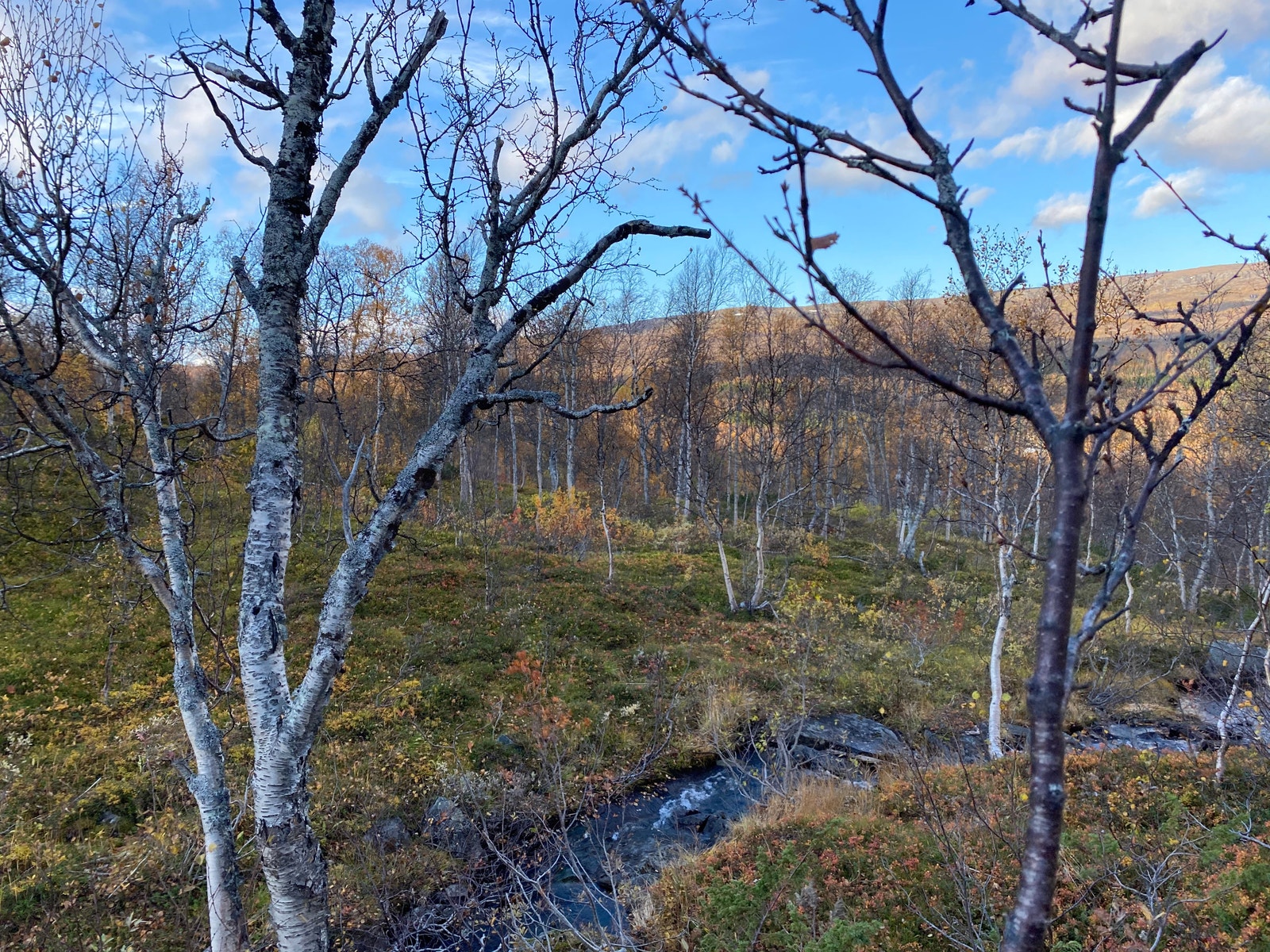 Elv som renner rett ved tomt. Tomten ligger ca 5 mtr på andre siden av elva. På et naturlig platå. Galleribilde