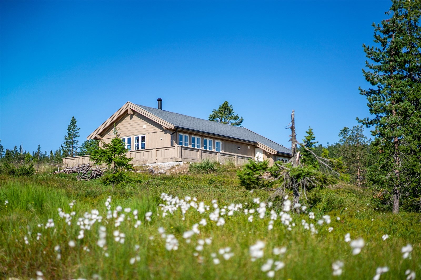 Omgivelser Galleribilde