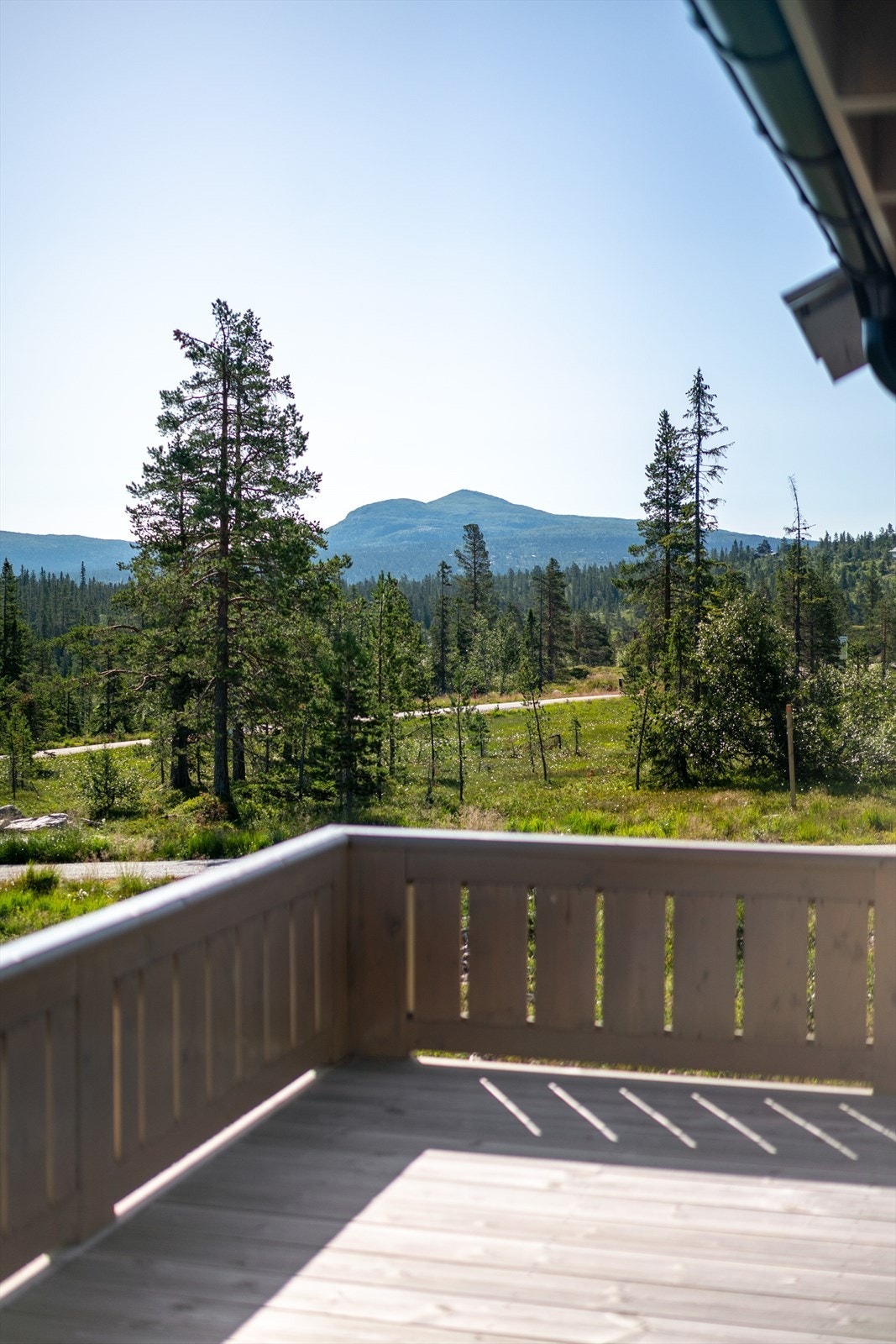 Utsikt fra terrassen. Galleribilde