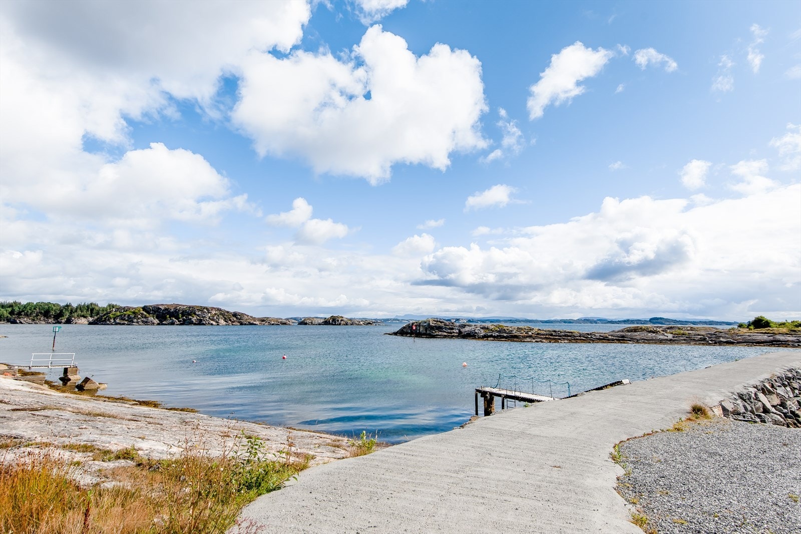 Nærområde ved sjøen. Galleribilde