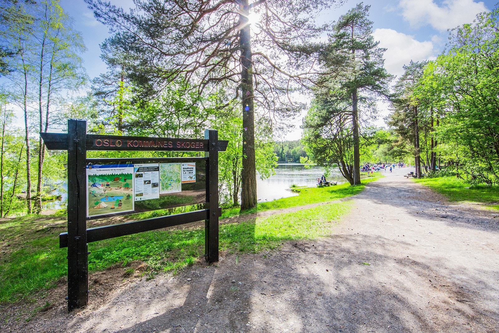 Det er en fin spasertur fra leiligheten og opp til Lillomarka med flotte turmuligheter året rundt. Galleribilde