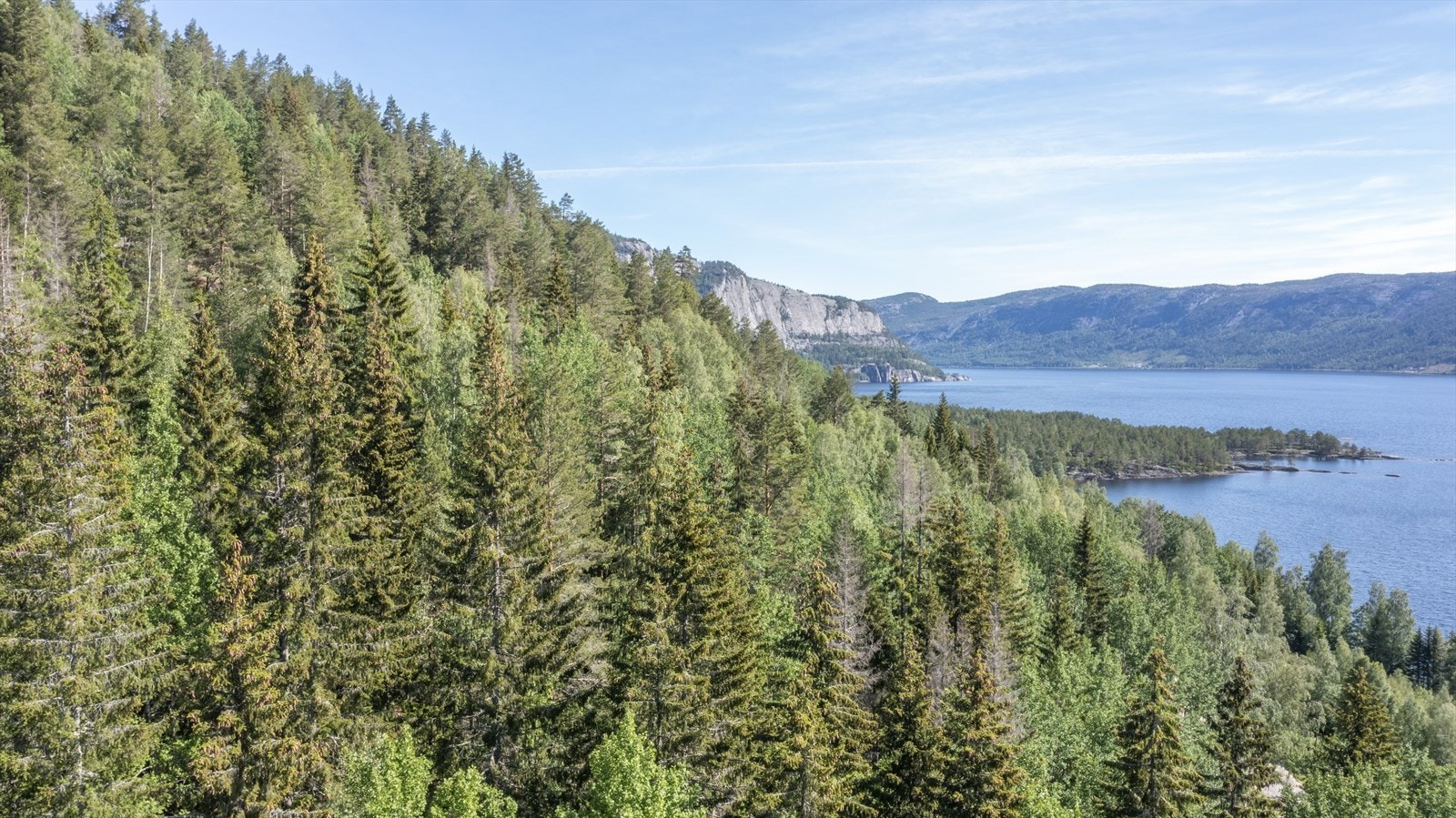 DJI_0256.jpg Galleribilde