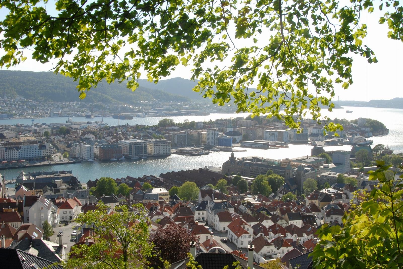 - Kort er også veien til hyggelig turterreng. Dette bildet er fra Fjellveien, rundt 10 minutters gange fra boligen.- Galleribilde