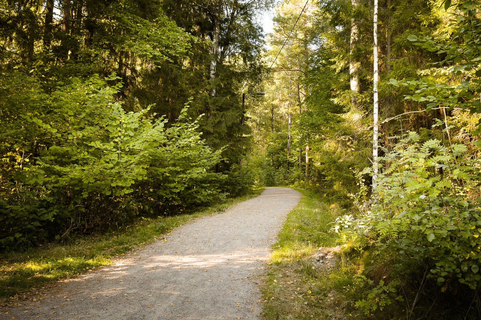 Flotte tur- og rekreasjonsområder like ved! Galleribilde