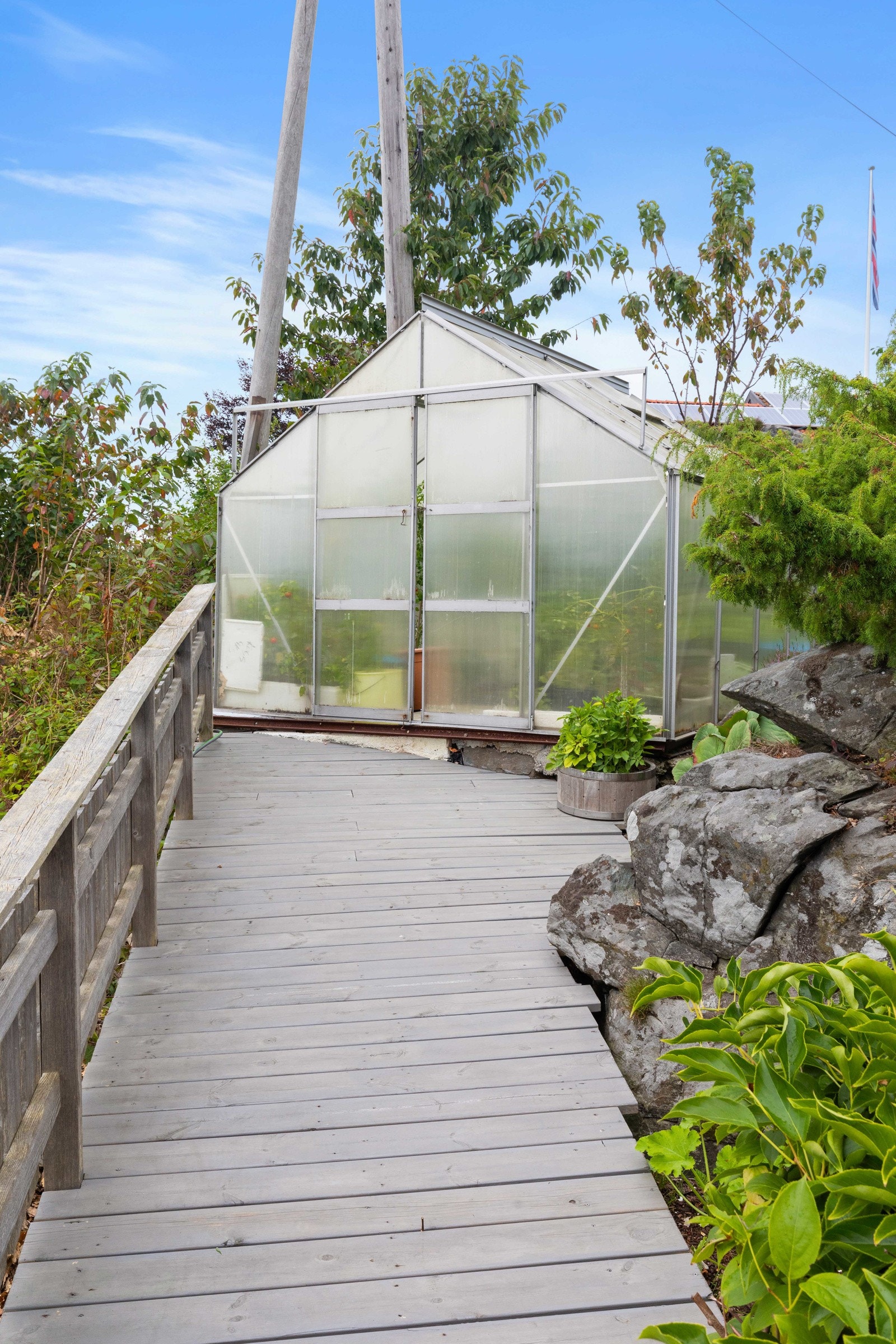 Drivhus medfølger Galleribilde