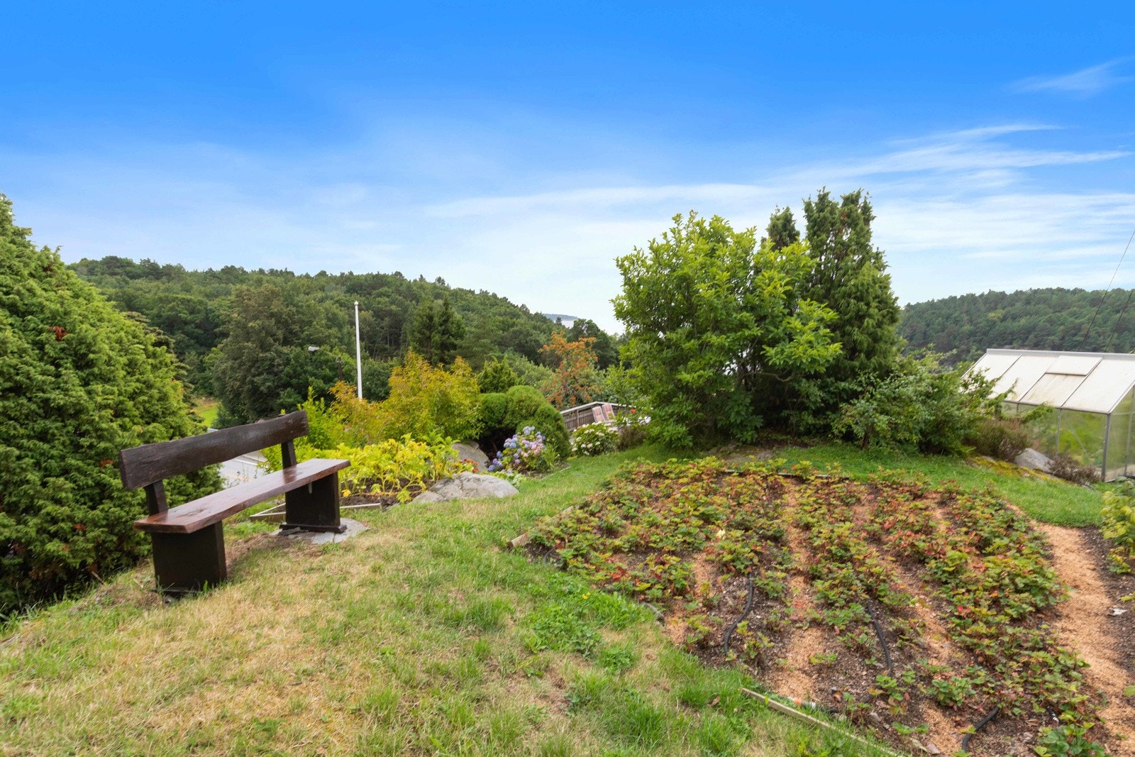 Kjøkkenhage Galleribilde