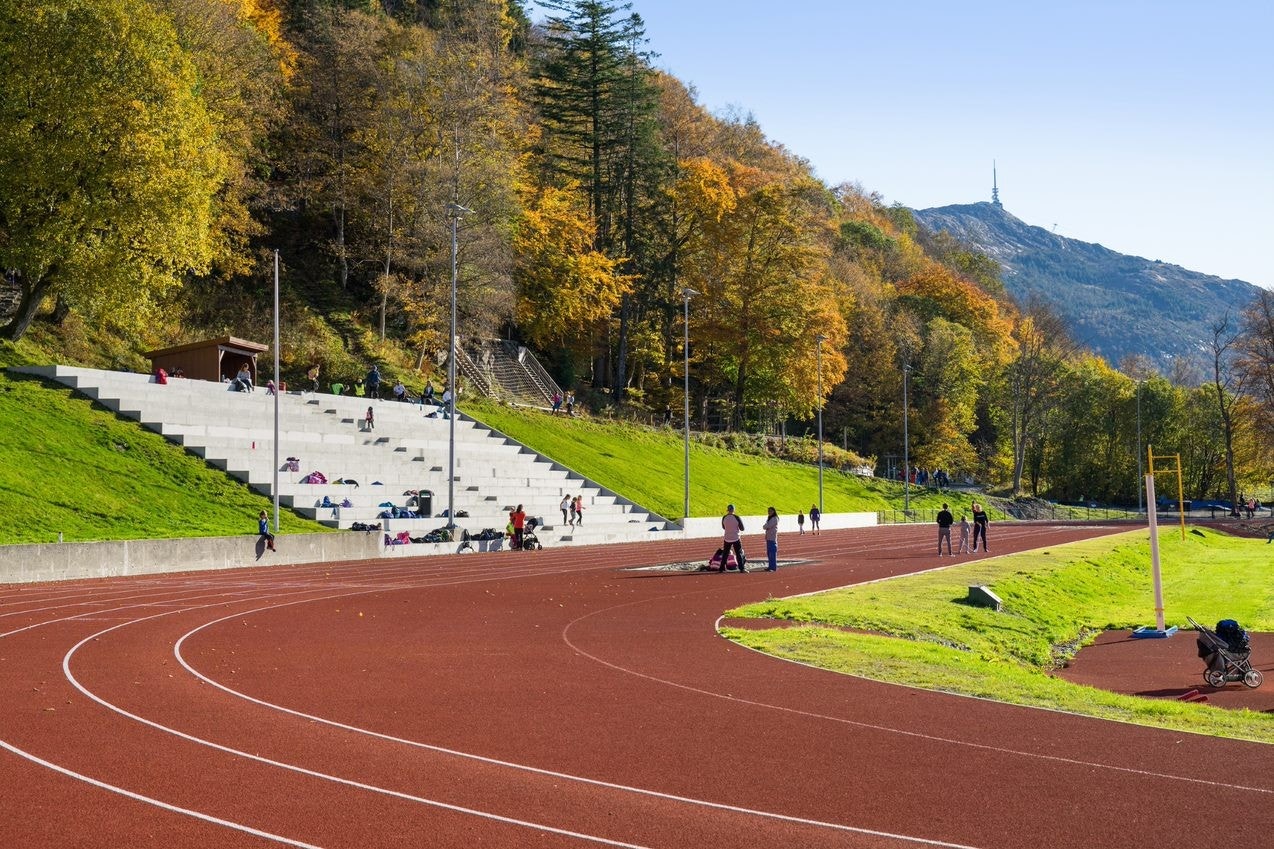 Kort vei til Skansemyren idrettspark og Fløyfjellet. Galleribilde