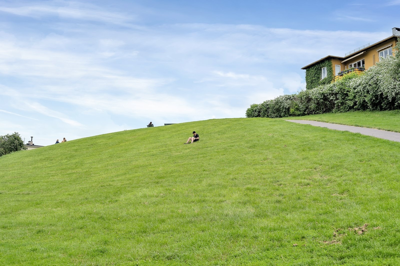 Nærområdet. Galleribilde