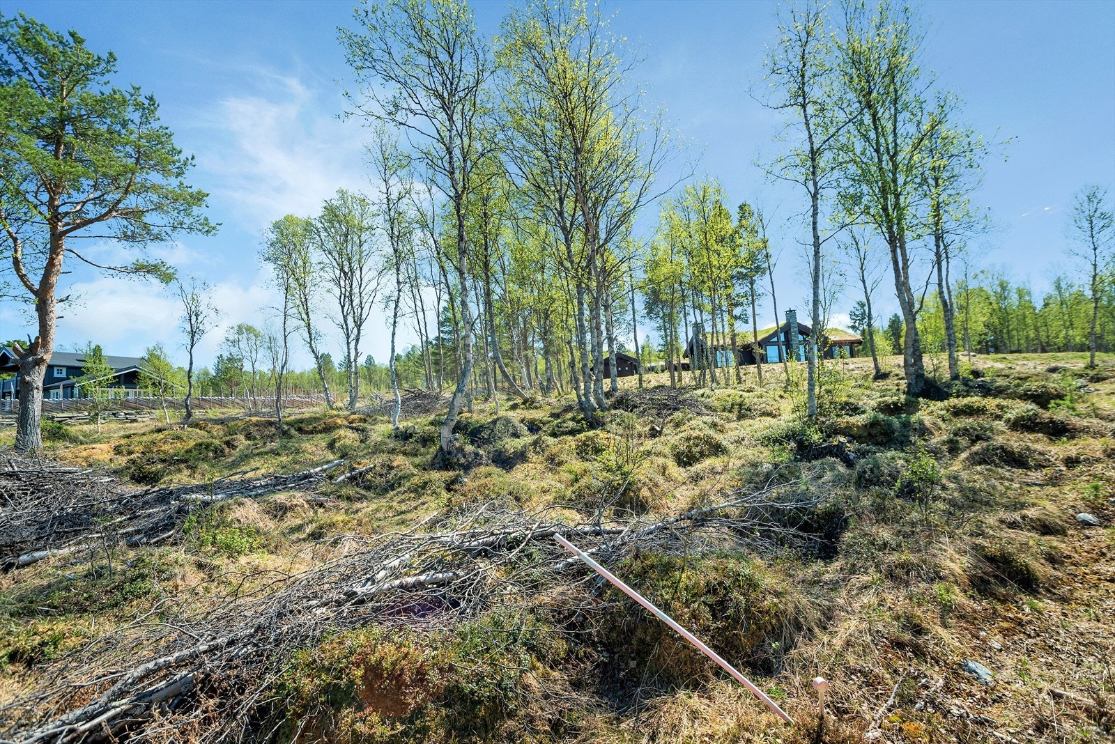Øverste tomt0206_2.jpg Galleribilde