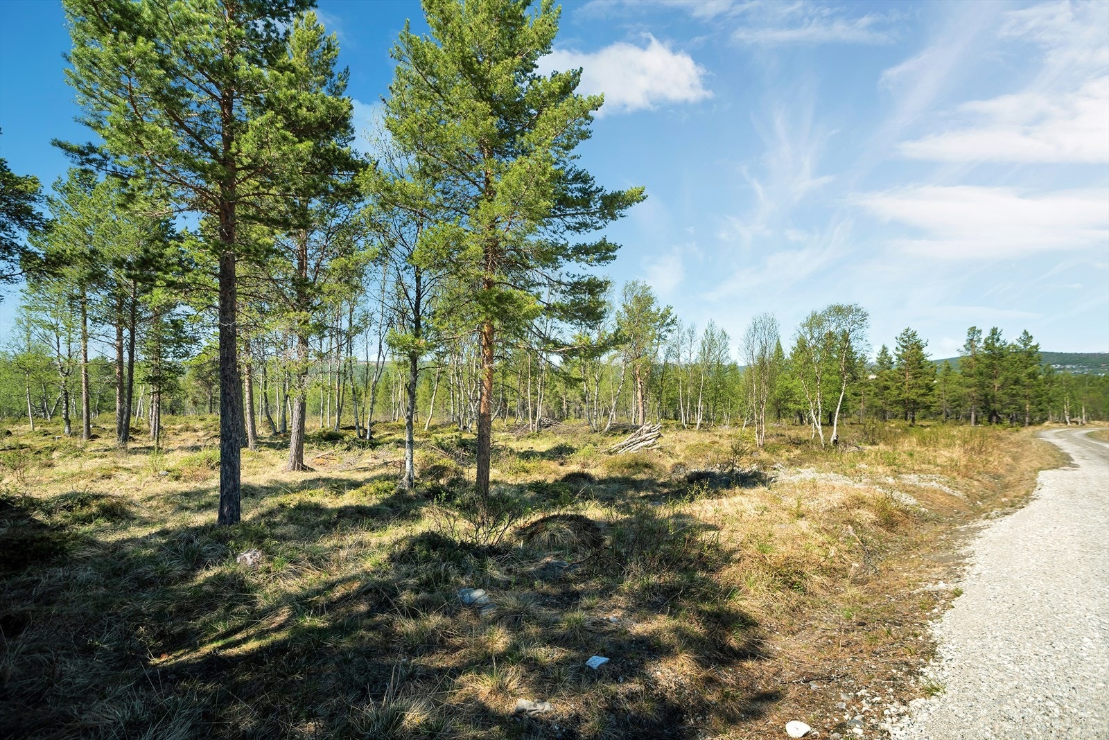 Øverste tomt0206.jpg Galleribilde