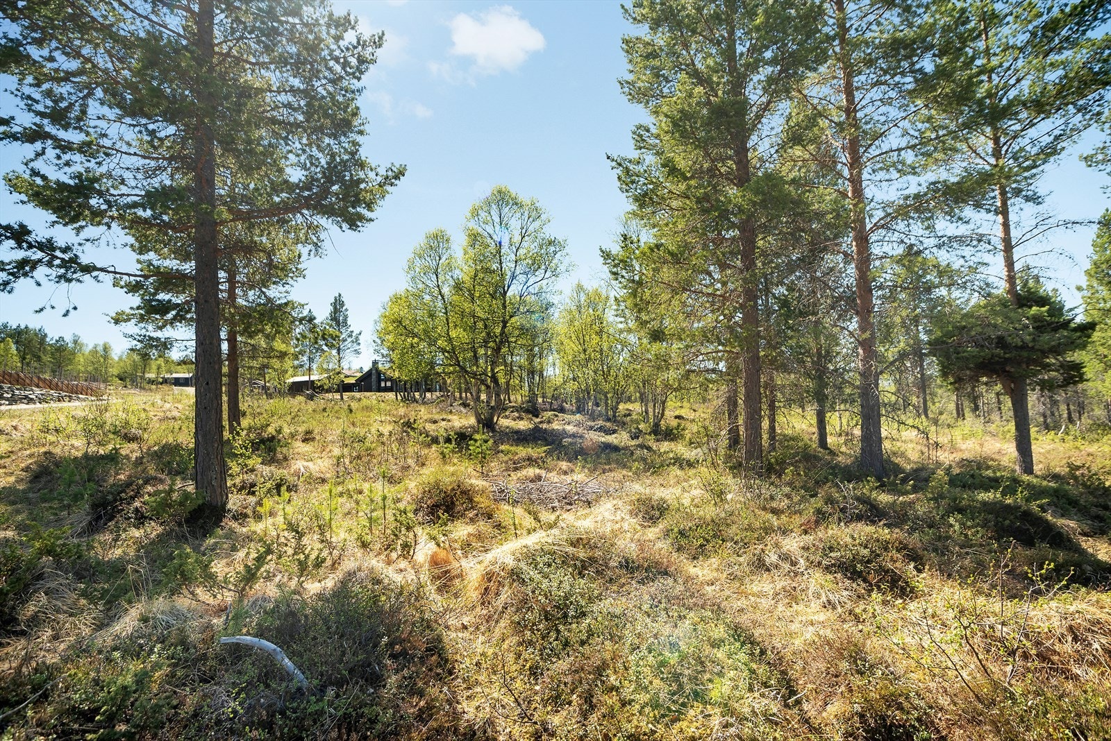 Midterste tomt0206_2.jpg Galleribilde