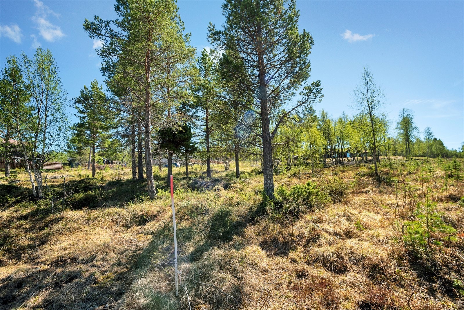 Midterste tomt0206_1.jpg Galleribilde