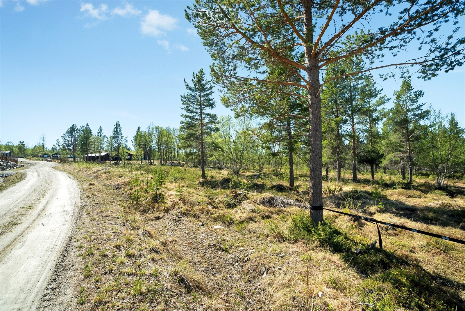Midterste tomt0206_3.jpg Galleribilde