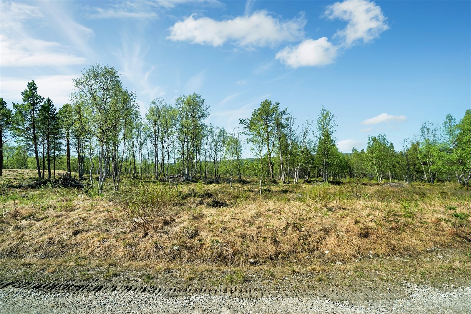 Øverste tomt0206_4.jpg Galleribilde