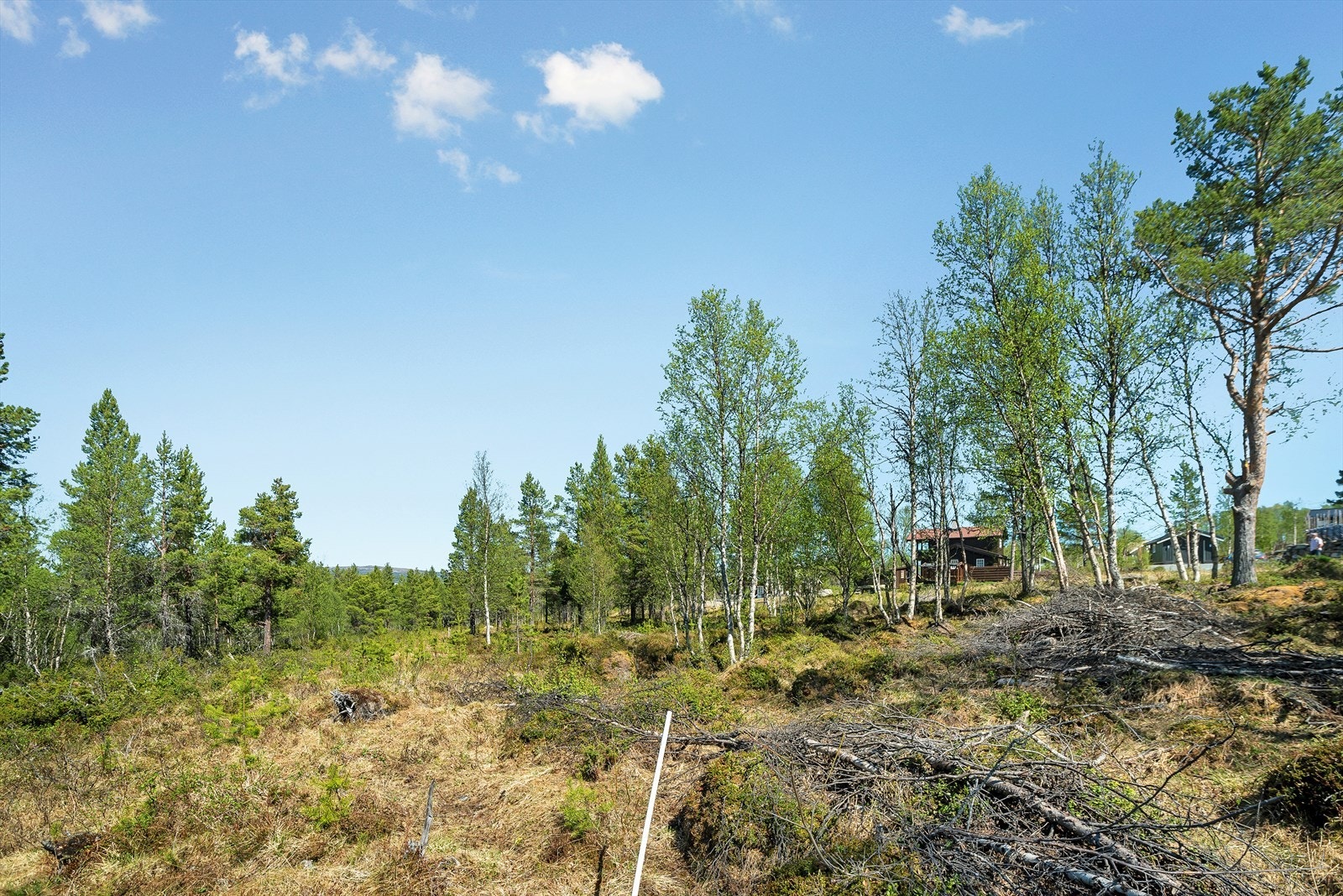 Midterste tomt0206.jpg Galleribilde