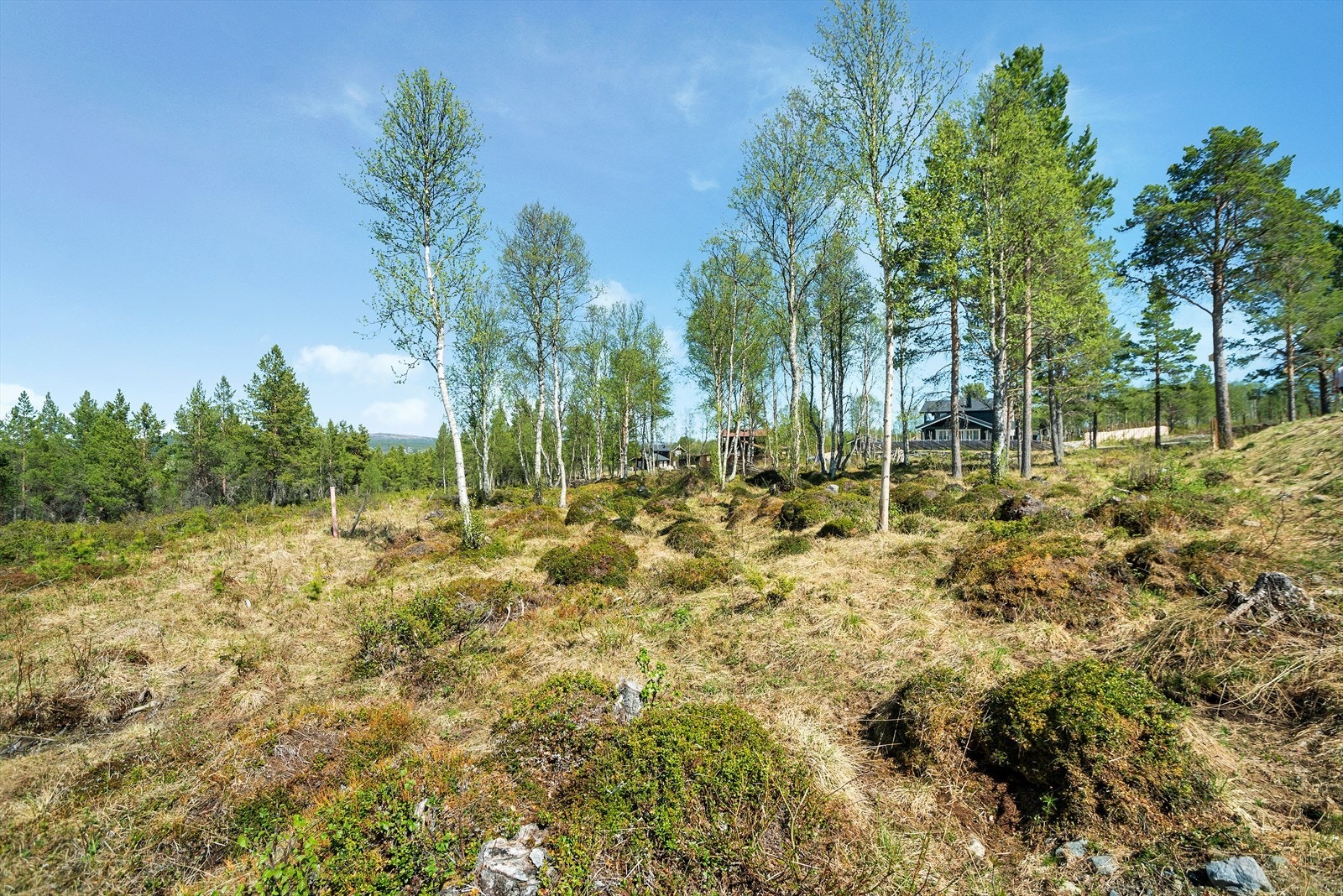 Øverste tomt0206_1.jpg Galleribilde