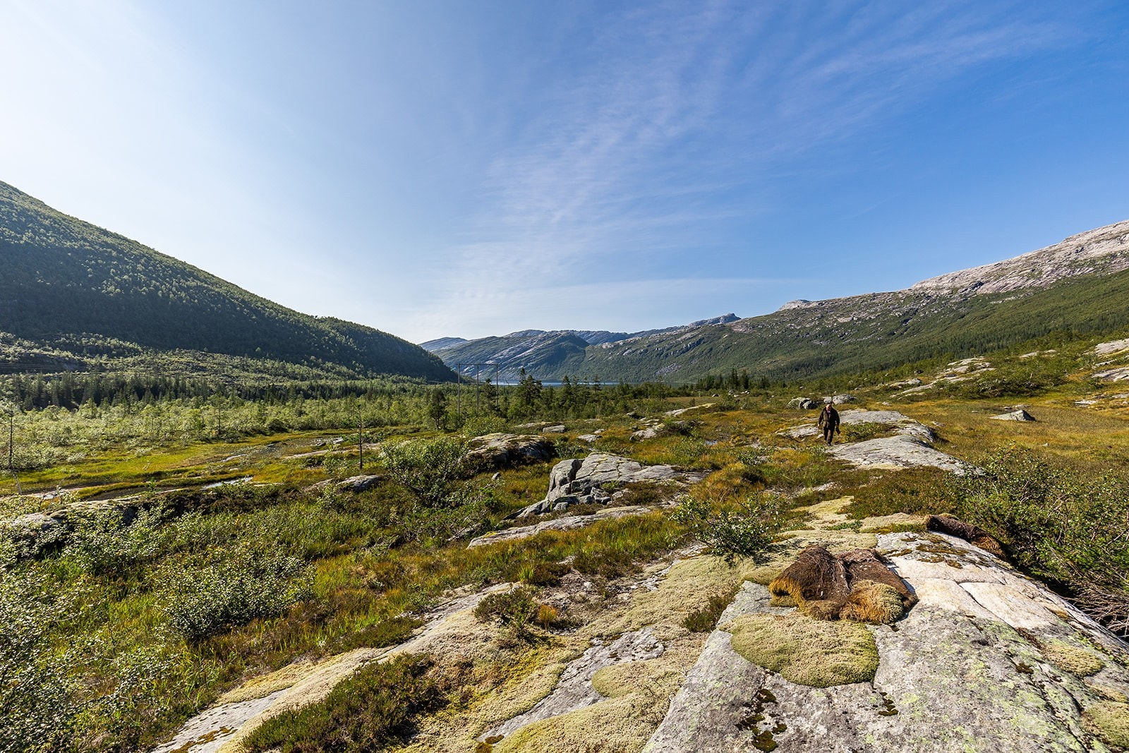 På vei fra Nedre Helgåvatnet og inn til eiendommen Galleribilde