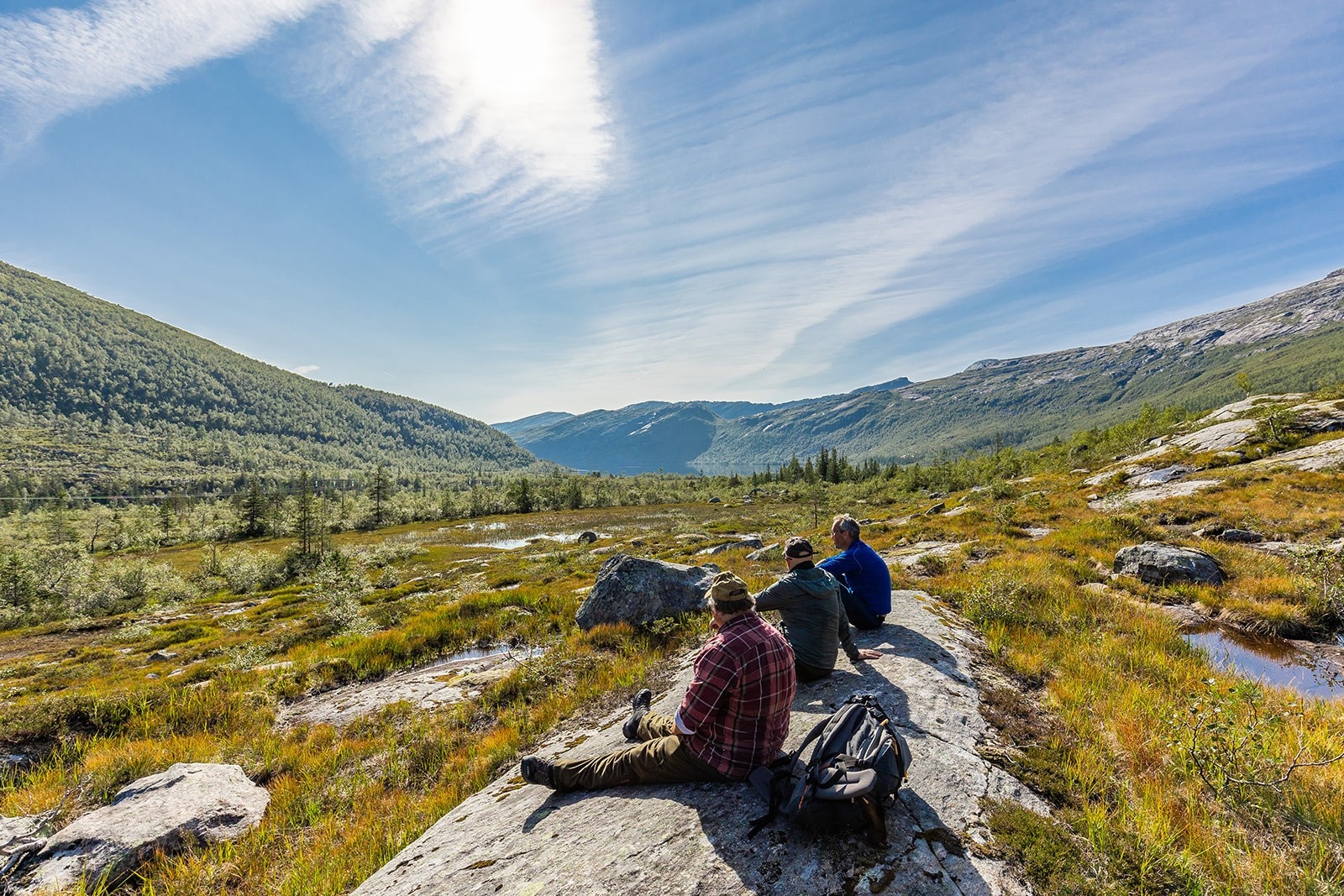 En rast i solskinnet - nydelig utsikt utover landskapet Galleribilde