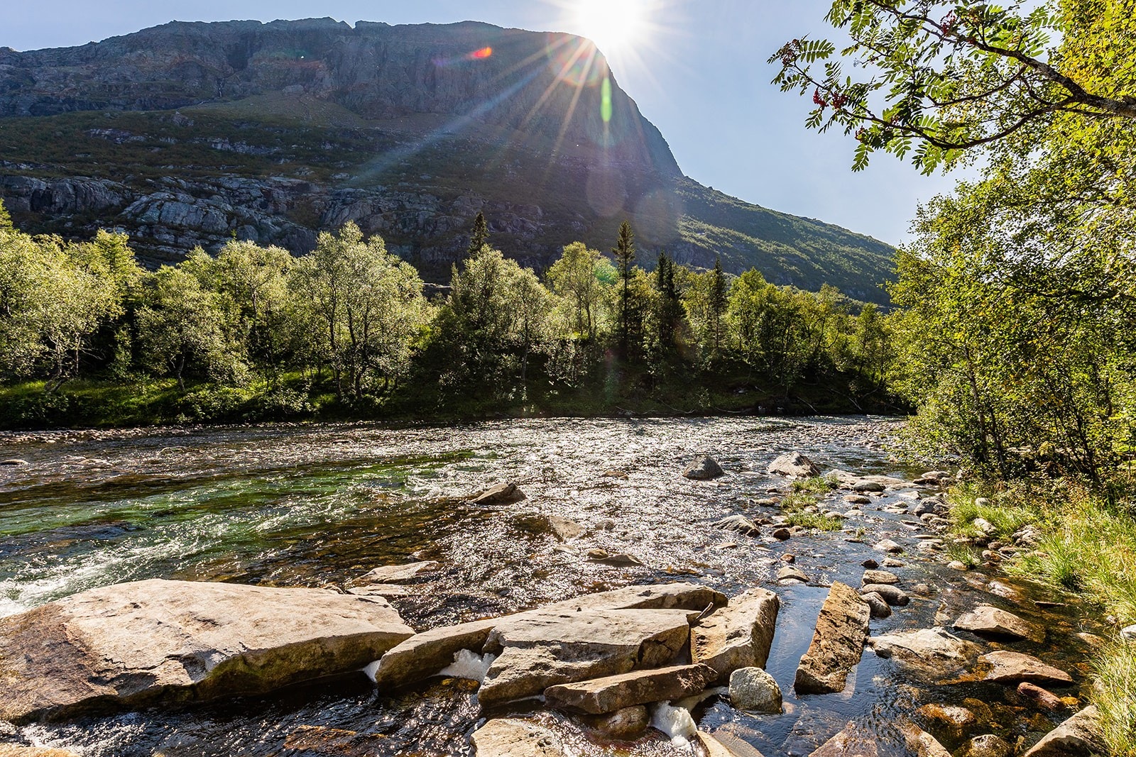 Fra elven nedenfor hyttetunet Galleribilde