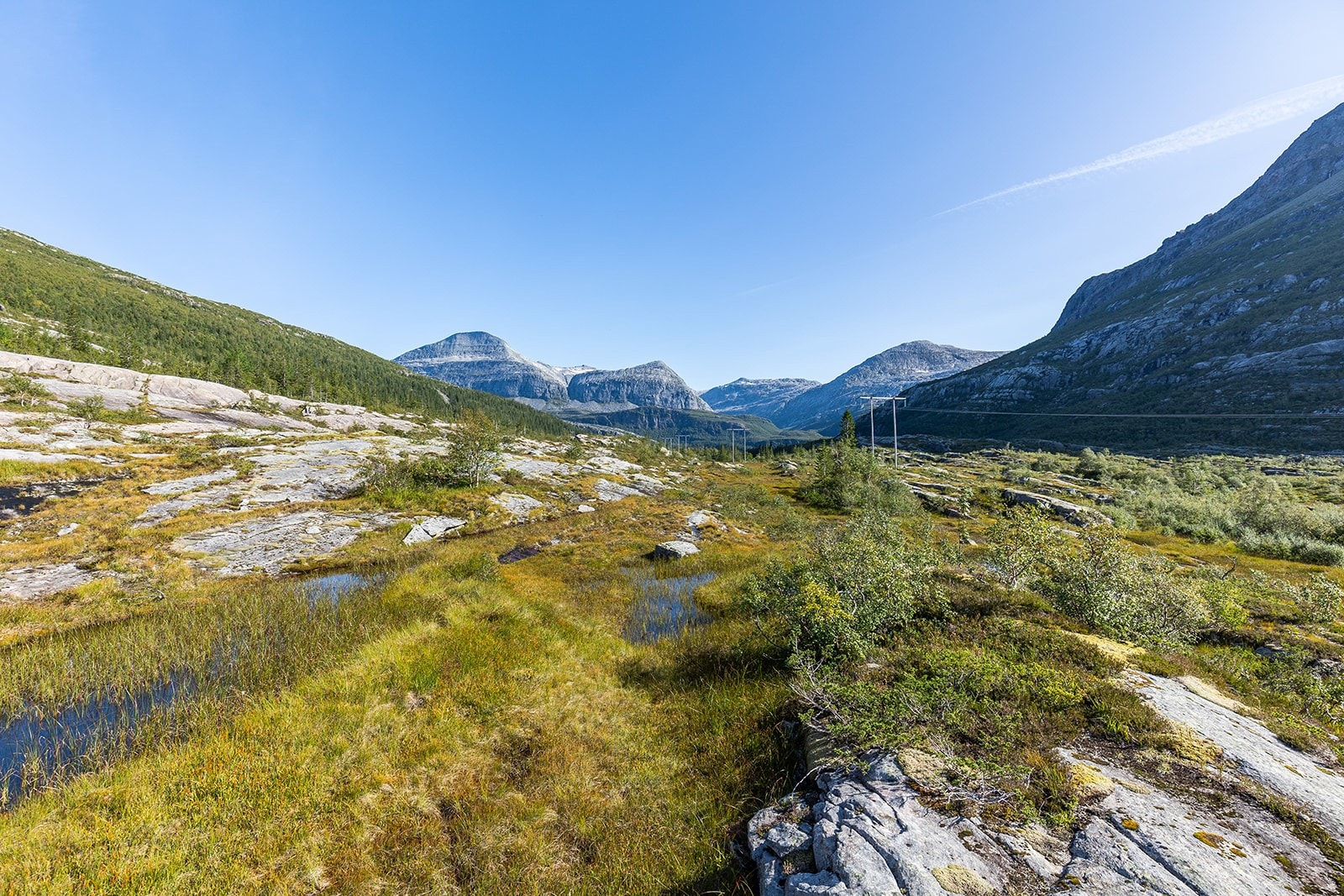 På vei - en herlig tur i lettgått terreng Galleribilde