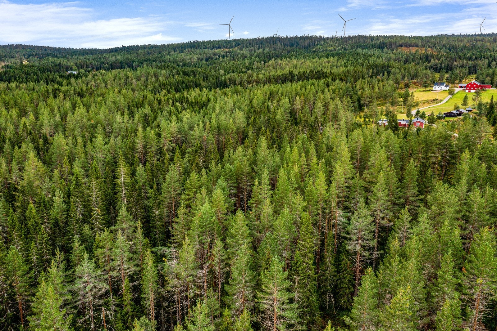 Velkommen til Molbergvegen, presentert av Hans Petter Carlsson eiendomsmegler MNEF! Galleribilde