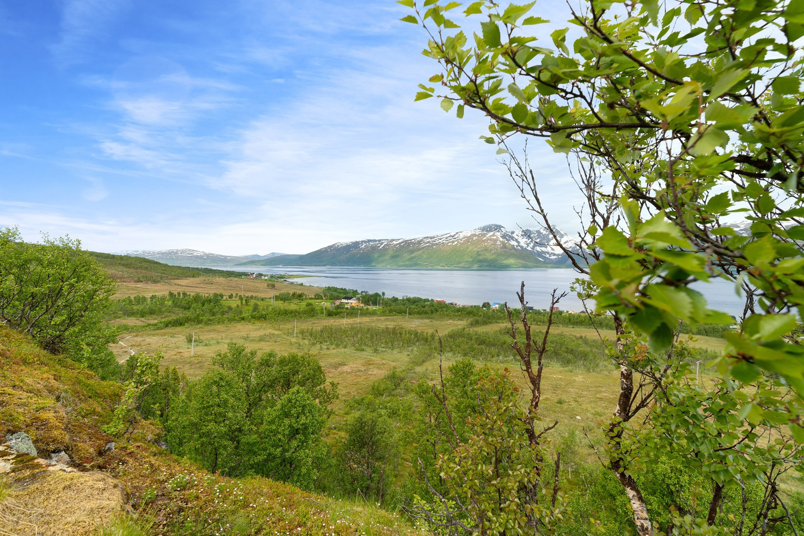 Vakkert landskap med fjelltopper, skog og sjø i umiddelbar nærhet