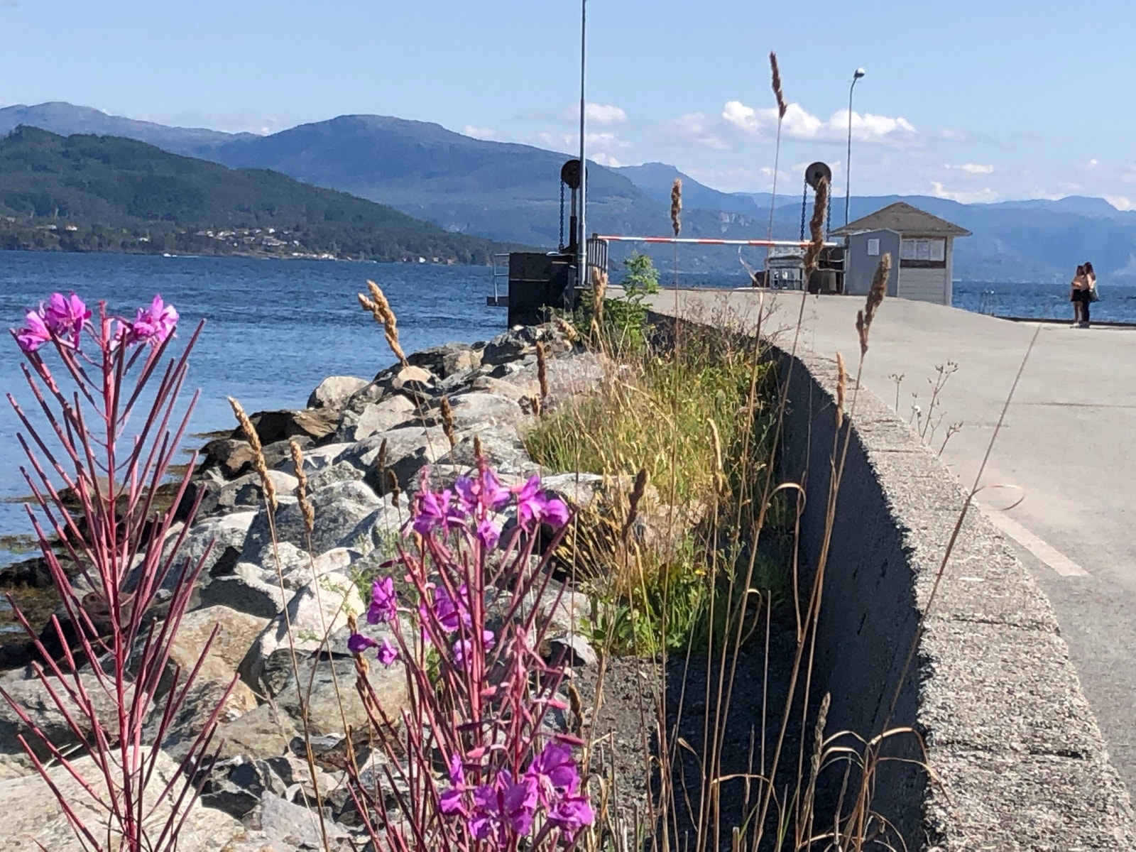 Hurtigbåt og ferje anløp Galleribilde