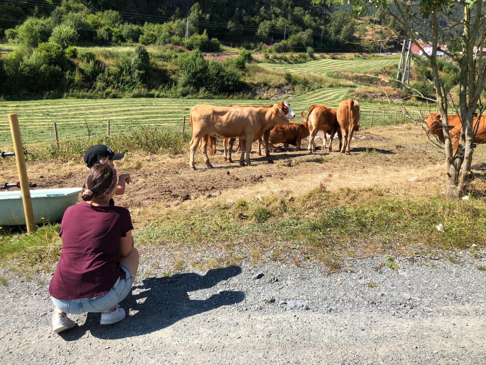 Med kort veg til Ryfylke får du på Tveita hamn moglegheit til å nyte helgene og skape opplevingar. Galleribilde