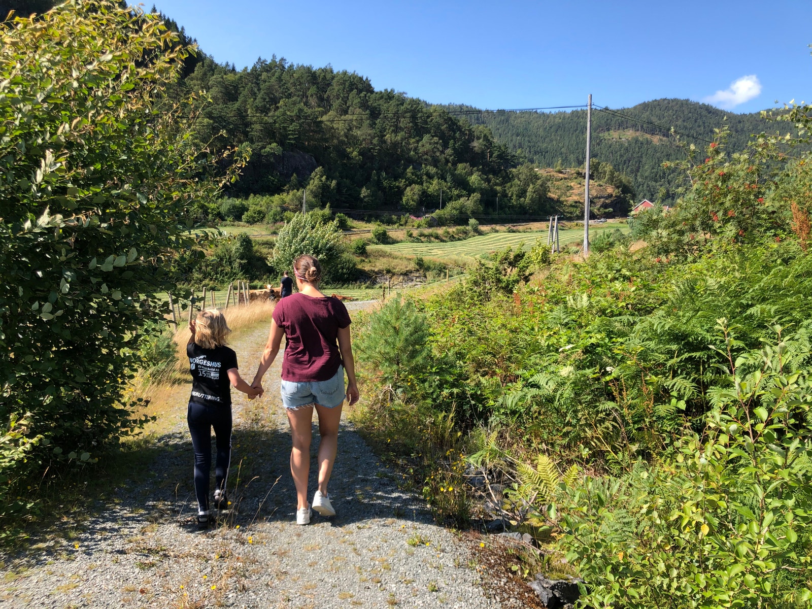 Mange og gode turmoglegheiter. Galleribilde