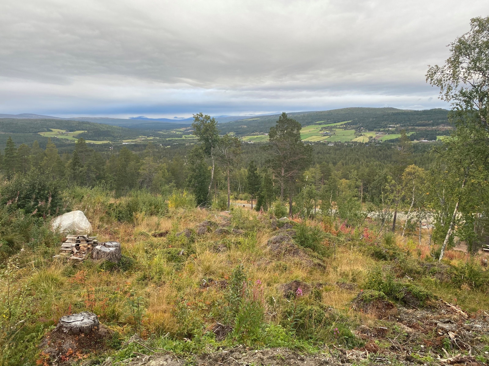 Utsikt fra tomtene i Koivollveien. Her ser du inn mot Dalsbygda og Forollhogna. Galleribilde